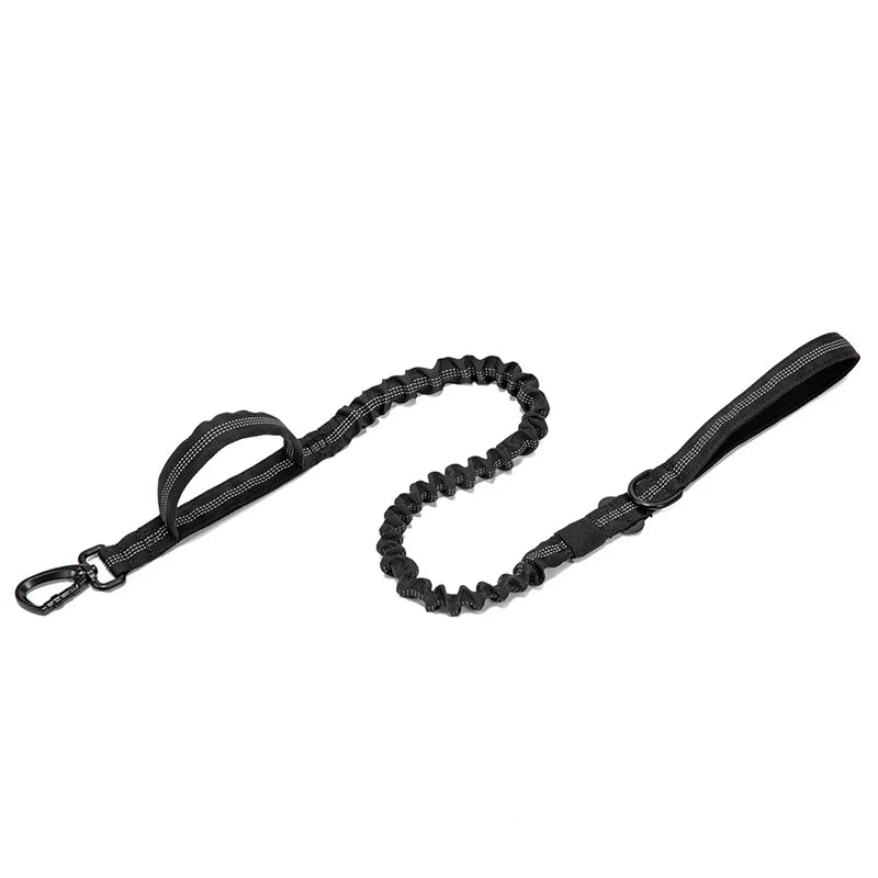 Durable Dog Collar