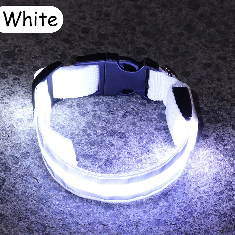 Nylon LED Safety Collar