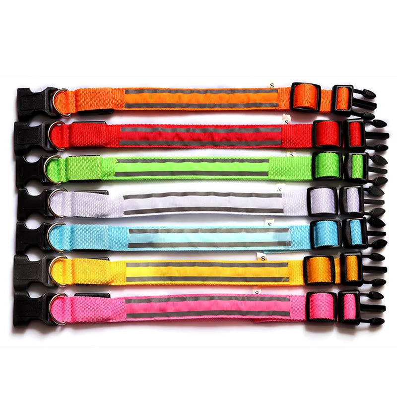 Nylon LED Safety Collar