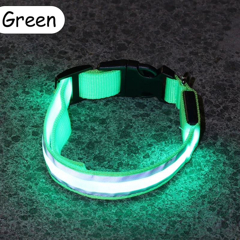 Nylon LED Safety Collar