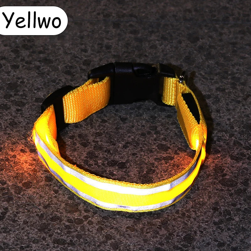 Nylon LED Safety Collar