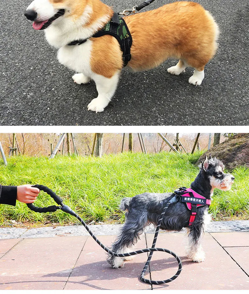 Strong Dog Leash