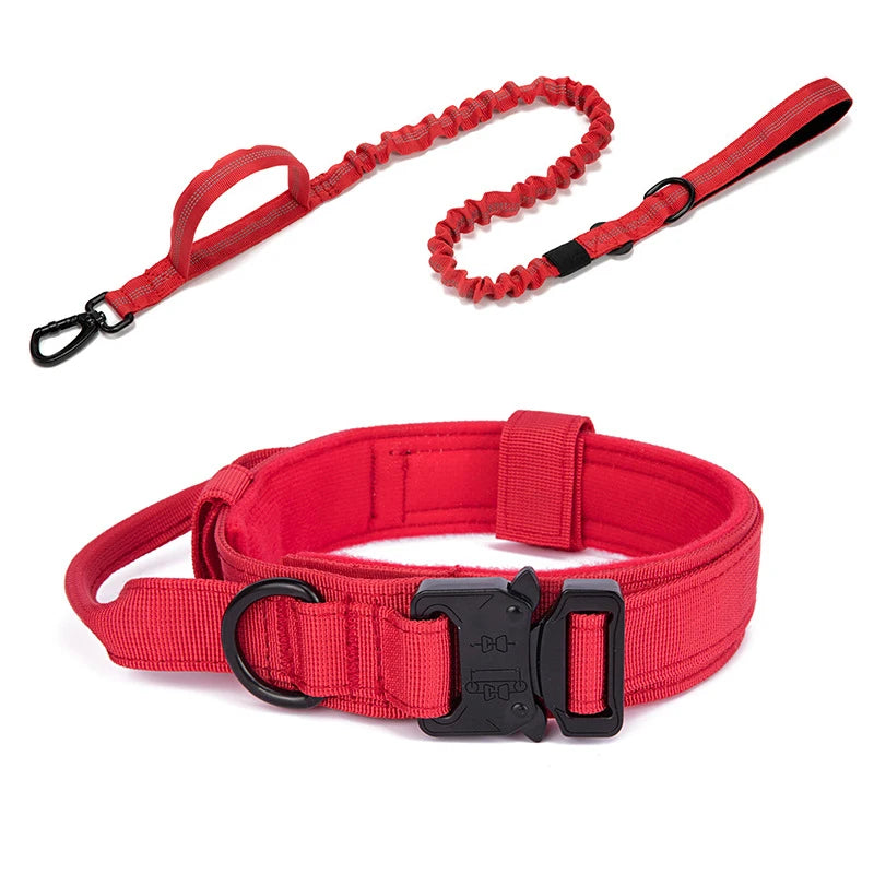 Durable Dog Collar