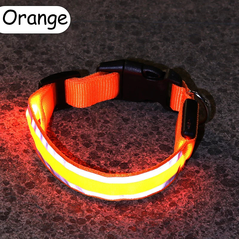 Nylon LED Safety Collar