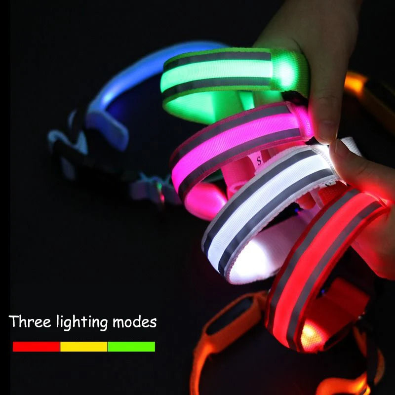 Nylon LED Safety Collar