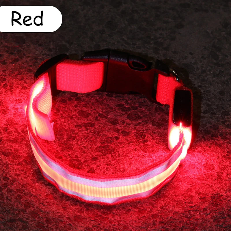Nylon LED Safety Collar