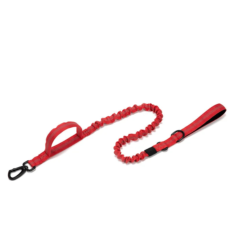 Durable Dog Collar