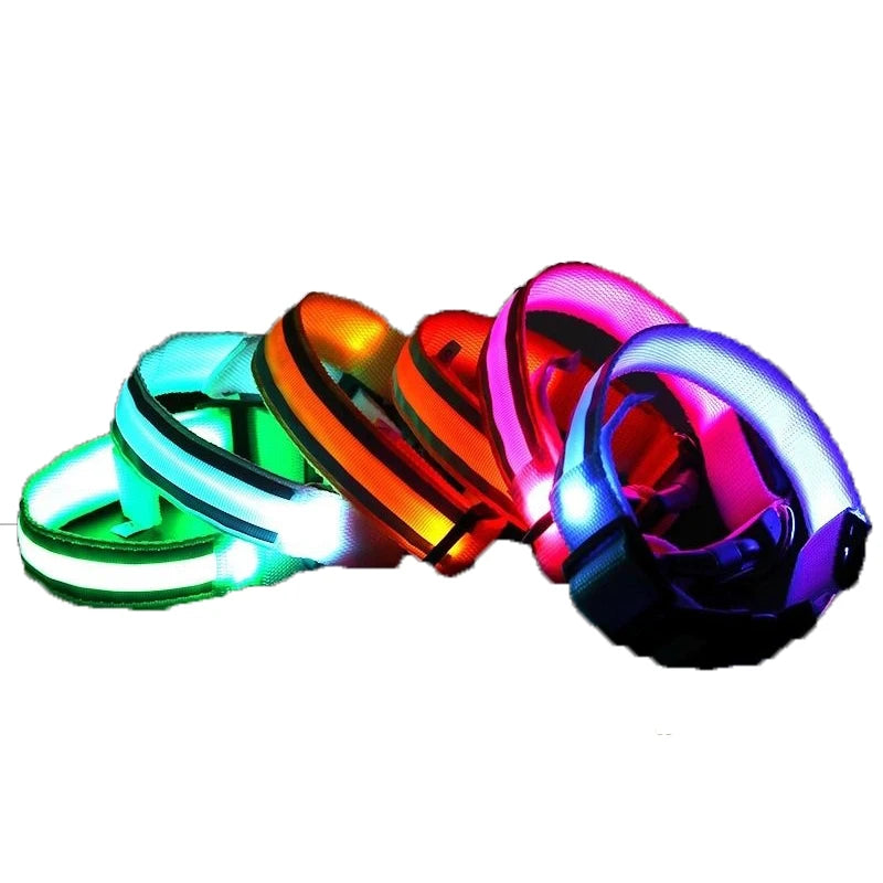 Nylon LED Safety Collar
