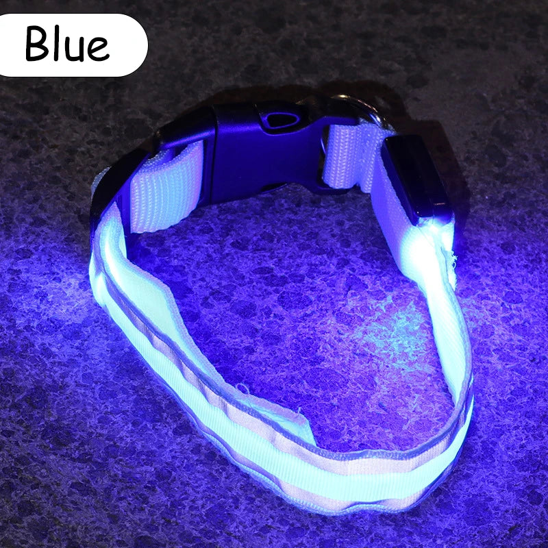 Nylon LED Safety Collar
