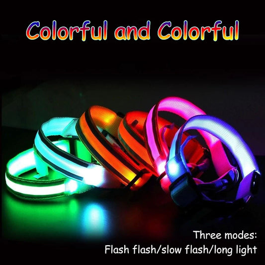 Nylon LED Safety Collar