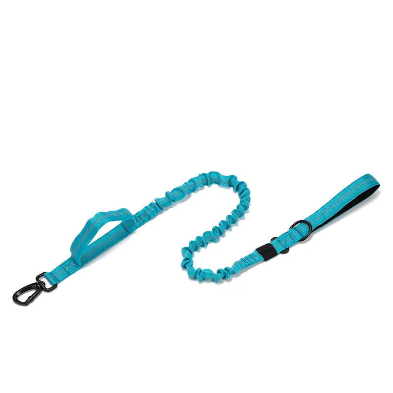 Durable Dog Collar