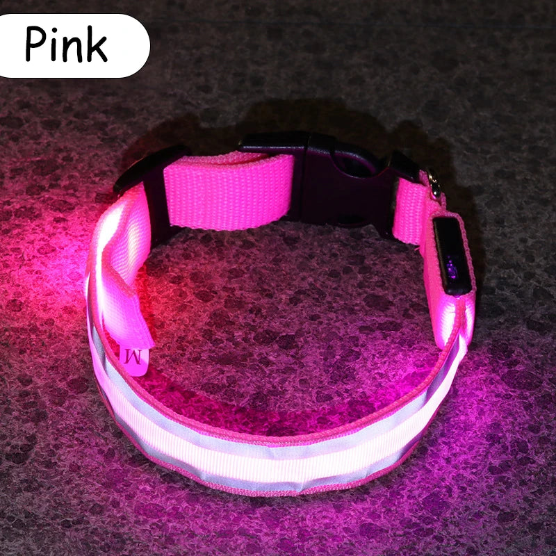 Nylon LED Safety Collar