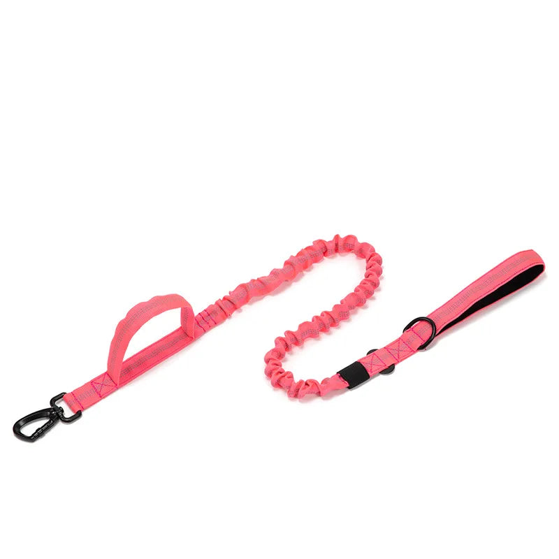 Durable Dog Collar