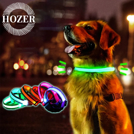 Nylon LED Safety Collar
