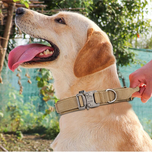 Durable Dog Collar